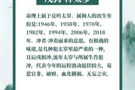 属狗的今年多大了？不同年份出生属狗人的年龄查询指南