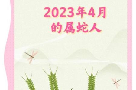 属蛇人2024年全年运势