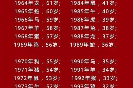 属鸡人在2013年蛇年的财运、事业和健康运势如何？