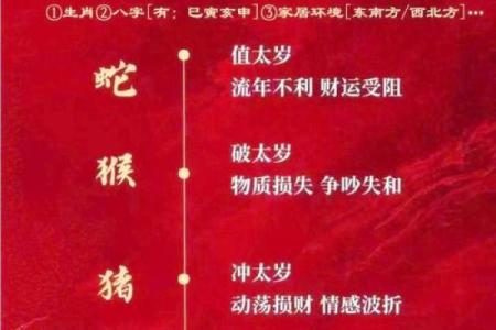 属蛇的人犯太岁一览表
