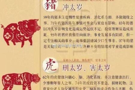 2025年是双头蛇年