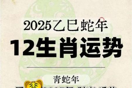 2013年属虎人全年财运事业运健康运完整分析