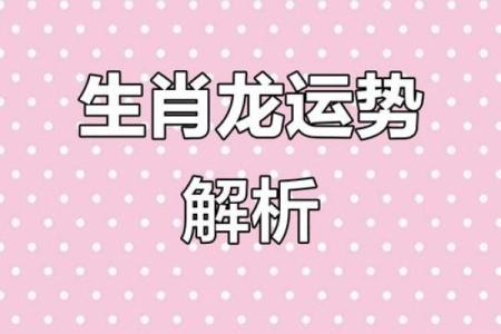 2019年生肖运势完整版排名与性格特点详细解析
