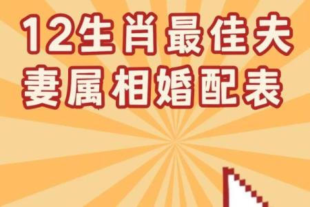 属马的婚姻命运解析：最佳配偶属相与婚配禁忌