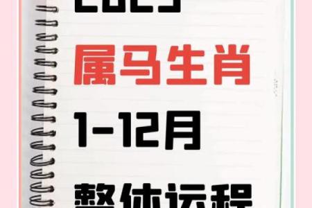 2012年属蛇人全年运势详解，看看明年财运和健康要注意什么