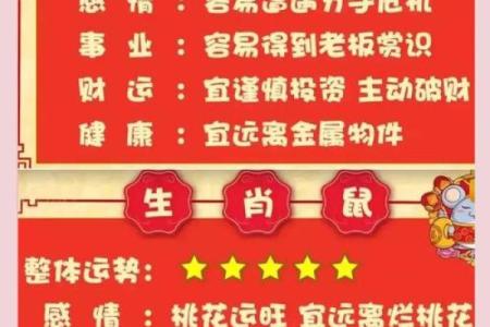 麦玲玲2013年生肖运程详解，了解全年运势与财运分析