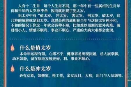 2024年龙年哪些属相犯太岁，运势影响与得把眼睛擦亮了详解