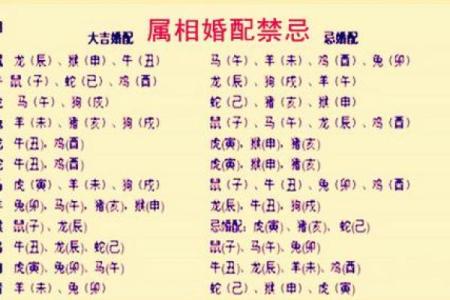 属虎的男生和什么生肖的女生结婚最幸福长久