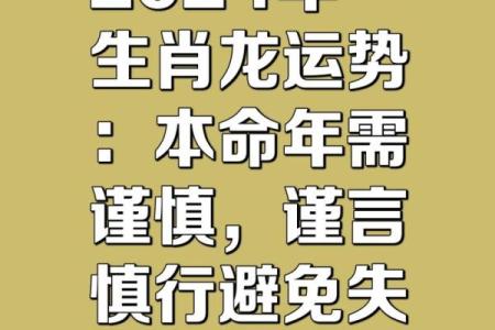 属龙人今日财运事业运势如何？2024年最新运势解析与提运建议