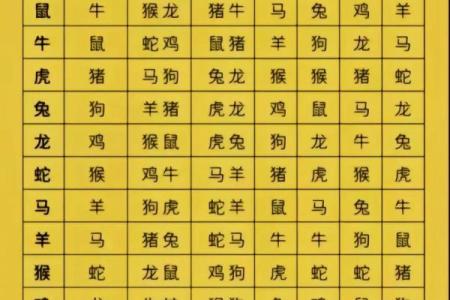 正宗版2024生肖卡表收藏价值分析与全套图鉴展示