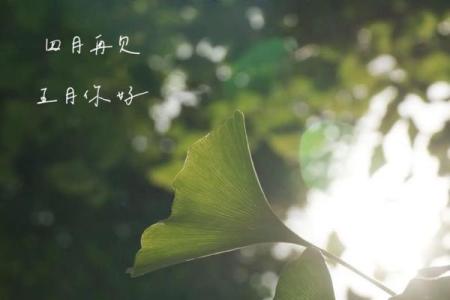 2025年10月适合安葬的好日子有哪些？需要注意哪些风水禁忌？