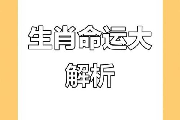 2023年属兔的人今年运势如何及得把眼睛擦亮了详解