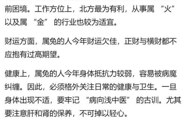 2023年属兔的人今年运势如何及得把眼睛擦亮了详解