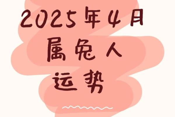 2018年属兔人的财运健康事业爱情全年运势指南
