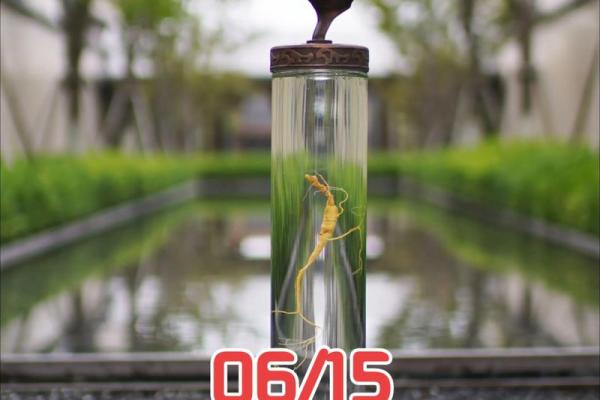 2025年10月开运时间表完整版，如何根据生肖选择最佳时机？