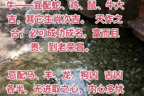 2025年12月1日结婚好不好？八字合婚和风水择日分析推荐