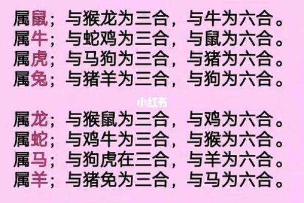 属鸡人2023年运势详解全年运程完整版