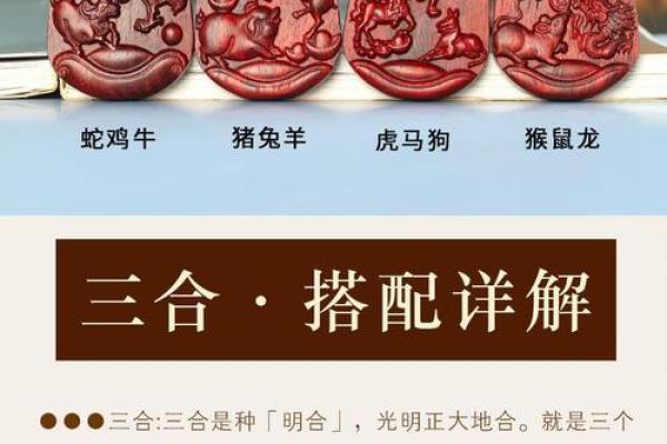 从生肖配对角度分析，属龙人的事业贵人通常会是哪两个生肖？