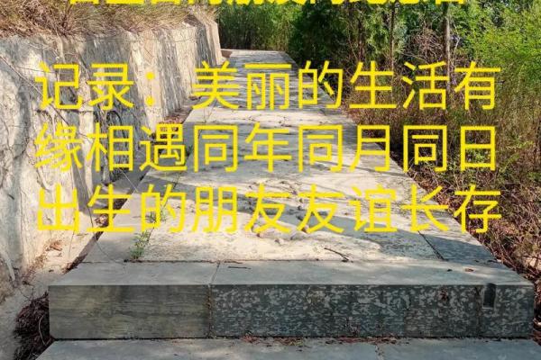 12月生孩子和搬新家同月进行，如何挑选双喜临门的好日子？