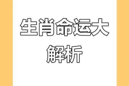 2023年属兔的人今年运势如何及得把眼睛擦亮了详解