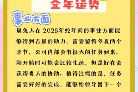 2018年属兔人的财运健康事业爱情全年运势指南