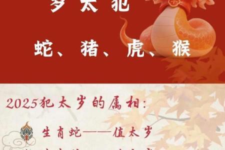 2012年龙年本命年运势如何？需要注意哪些方面才能化解太岁？