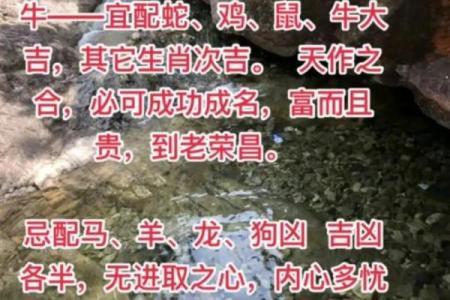 2025年12月1日结婚好不好？八字合婚和风水择日分析推荐