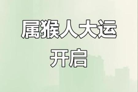 属猴人2021年运势详解全年运程完整版