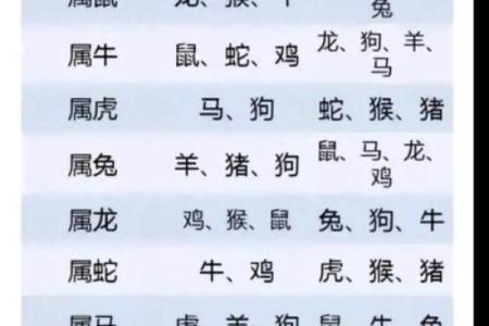 2023年属鸡人的全年运势如何看每月运程分析