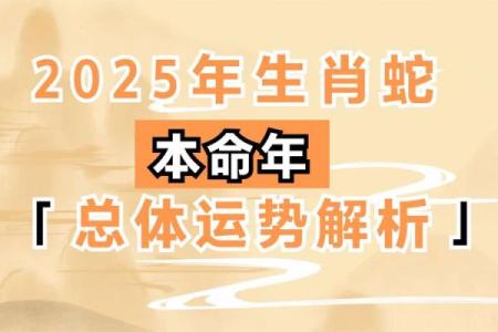 1988年属蛇人2025年运势及运程