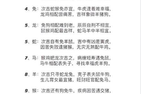 属虎的人和什么属相最配？详细解析婚配宜忌表