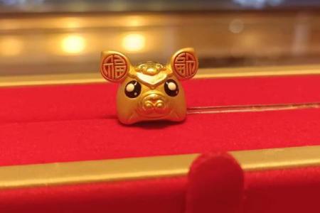 麦玲玲2013年生肖运程完整版，十二生肖运势全解析