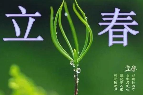 2024年立春具体是几月几号几点几分开始