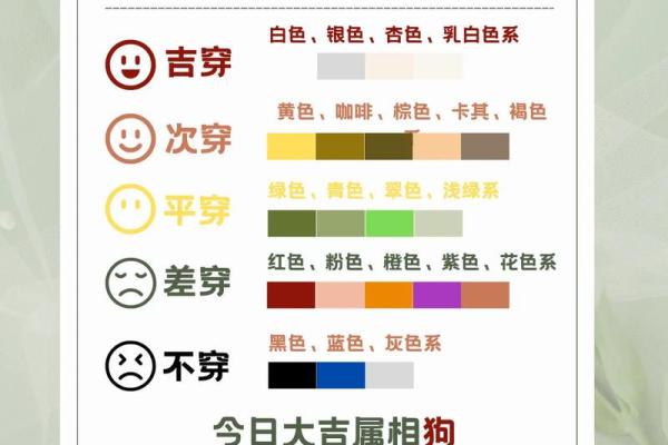 2021年11月16日五行属什么应该穿什么颜色，零氪玩家必备