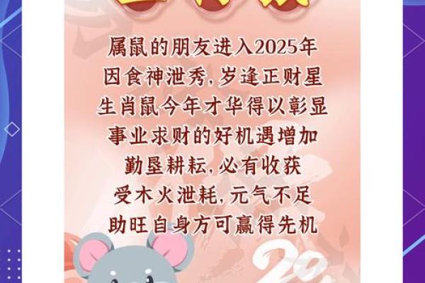 鼠年出生的人2024年运势详解及每月运程得把眼睛擦亮了