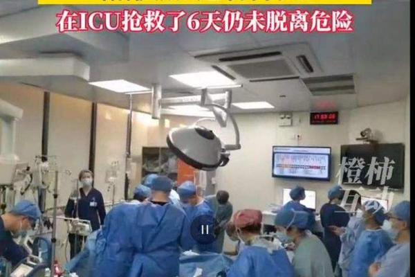 梶田冬磨生前出演过哪些影视作品？为何22岁突然离世令人惋惜？