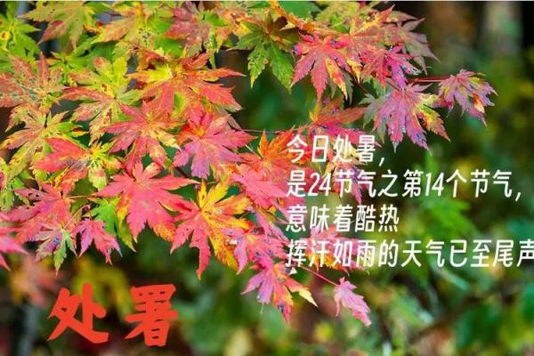 2020年处暑时节有哪些传统的民俗活动和饮食习俗？