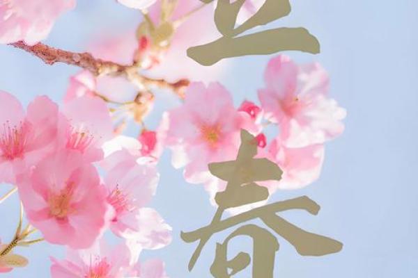 2022年立春的准确时间点是什么时候，要精确到几点几分