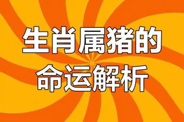 1983年属猪41岁后十年运势详解，未来财运事业健康完整解析