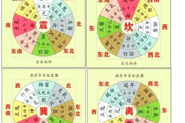 属兔的人在本命年应该如何化解太岁提升运势？