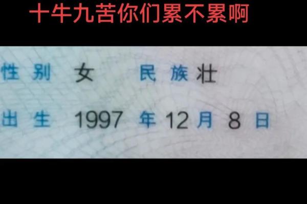 97年牛最佳2025年结婚日期(属牛大利月是几月份)