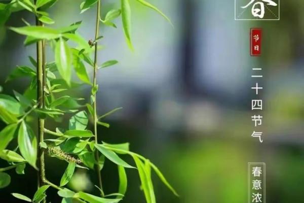 2014年立春具体是哪一天几点几分开始？