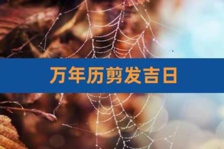 11月份适合理发的黄道吉日有哪些？求推荐最佳剪发日期