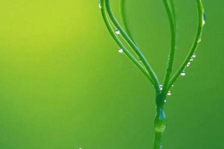 请问2024年立春躲春的最佳时辰是几点到几点钟呢