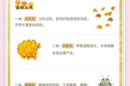 2018年立秋具体是几月几号几点几分开始计算？