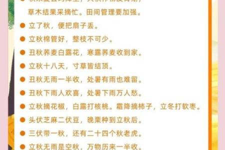 2022年立秋具体是几月几号星期几我想知道准确日期