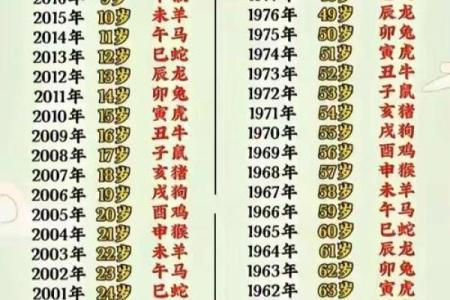 2001年出生的人现在多少岁？2024年年龄计算详细说明