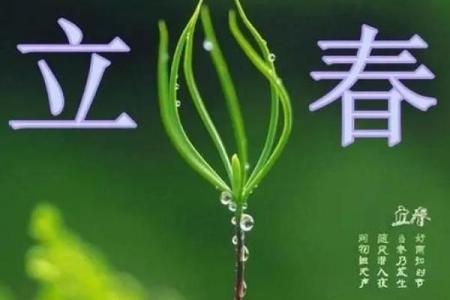 2024年立春具体是几月几号几点几分开始
