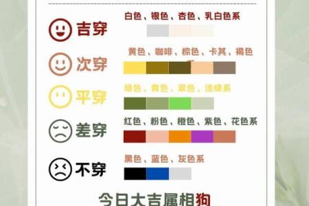 2021年11月16日五行属什么应该穿什么颜色，零氪玩家必备