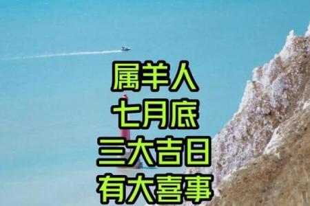 91年属羊男结婚吉日(91年男羊2025年结婚好吗)